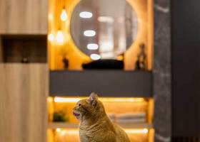 Montana-Interiors-Welkom-Board-Timber-showroom-13